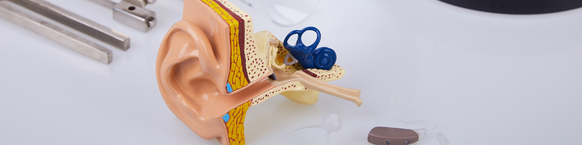 EAR,NOSE & THROAT (ENT) (36)