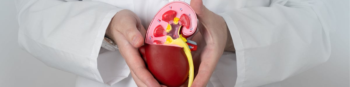 NEPHROLOGY (1)
